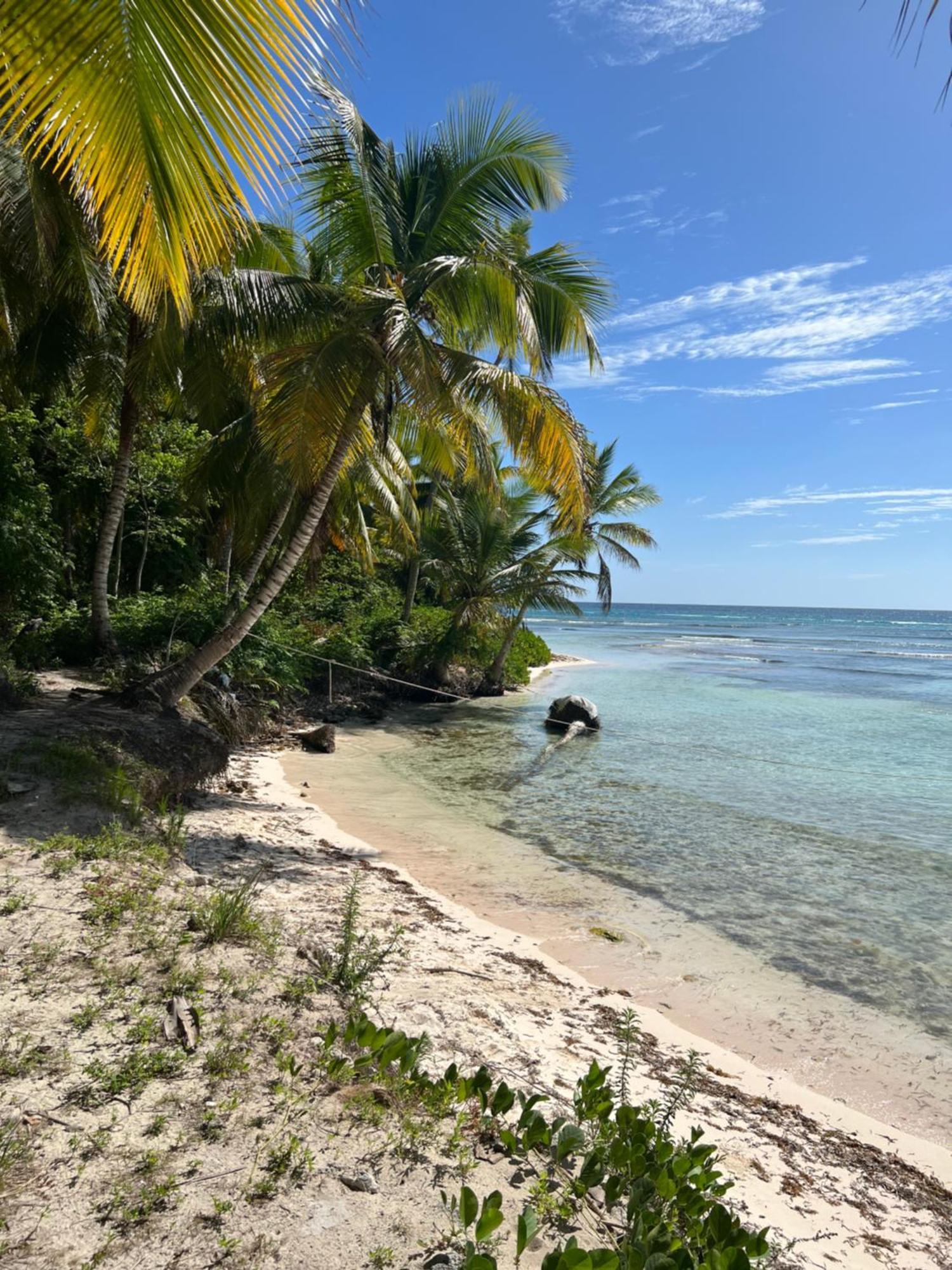 Ducassi - Sol Caribe Appartahotel Punta Cana Bavaro Экстерьер фото